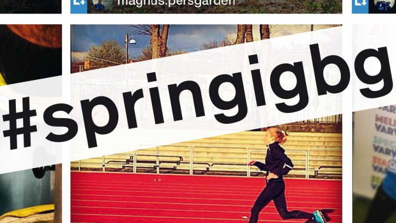 #springigbg