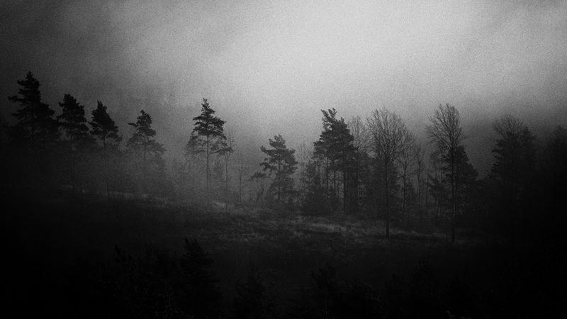 Art & Nature Photographer
